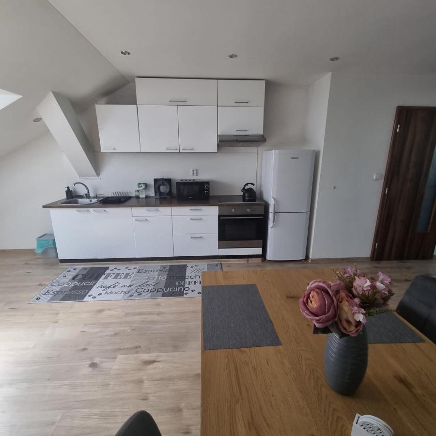 Cerny Tulipan - Apartman 5 Daire Plzeň Dış mekan fotoğraf