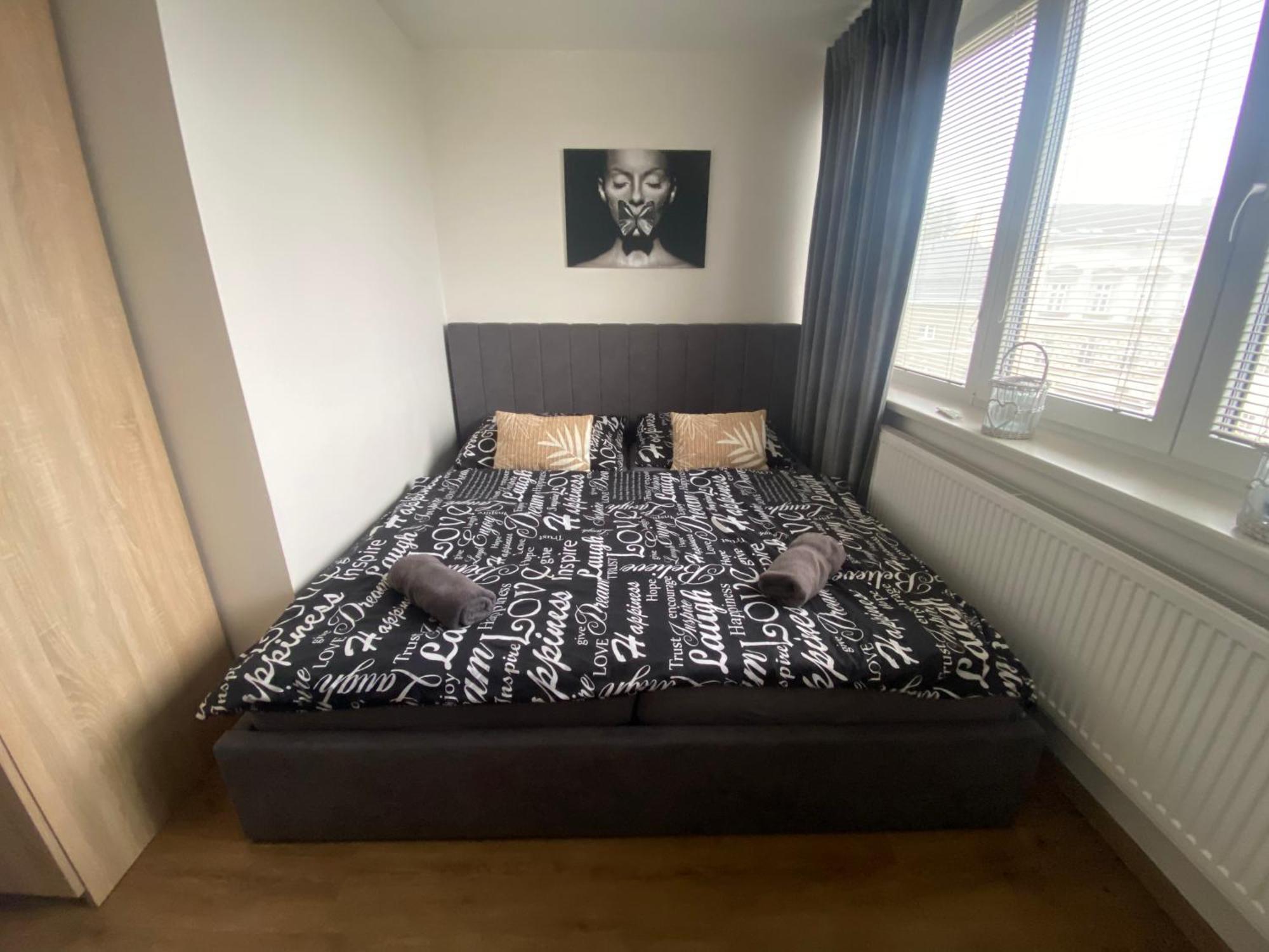 Cerny Tulipan - Apartman 5 Daire Plzeň Dış mekan fotoğraf